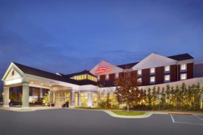 Hilton Garden Inn Detroit/Novi